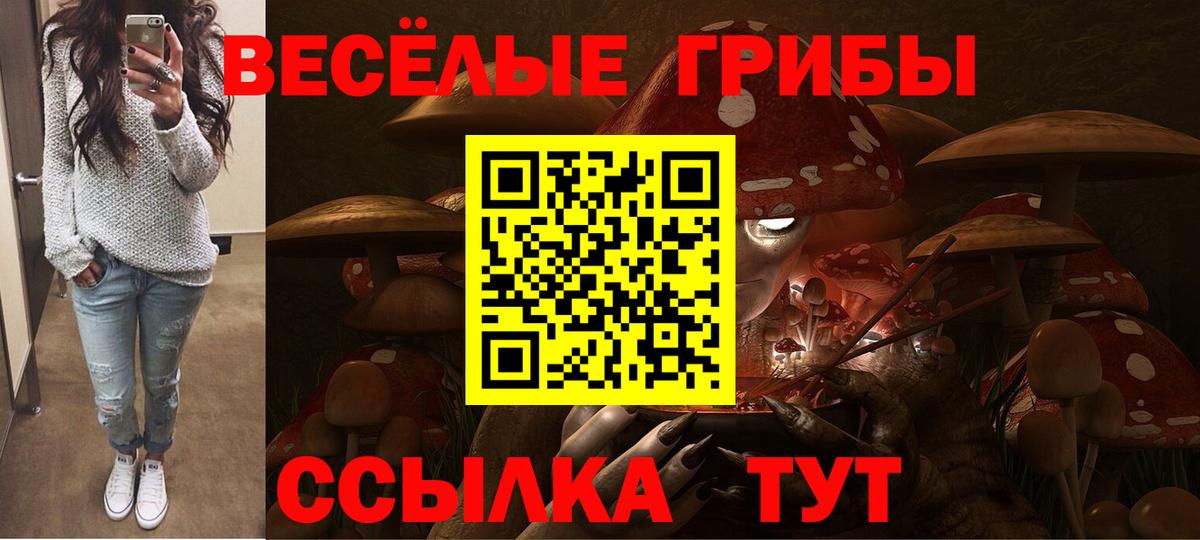 Псилоцибиновые грибы Psilocybine cubensis Янаул